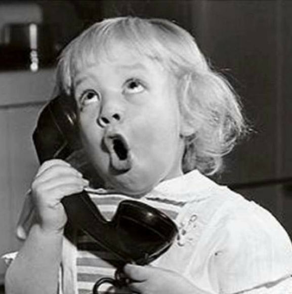 Meet your Posher, Sassy Kat - Picture 1 of 8